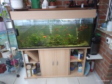 Aquarium komplett mit