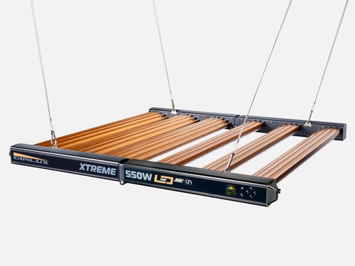 Dimlux xtreme 550w - mkii,