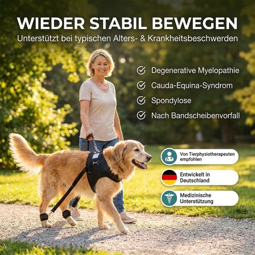 Trainingsgeschirr für kranke