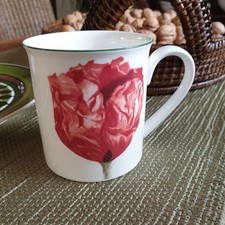 V&B FLORA  COQUELICOT