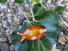 Butterscotch Bernstein