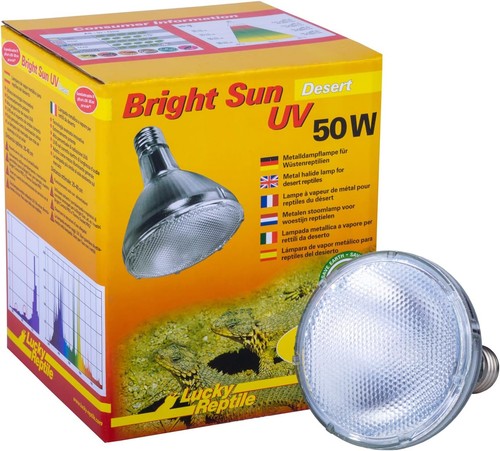 Lucky reptile bright sun - bright, uv