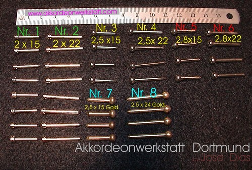 Balgnägel akkordeon balg - -,