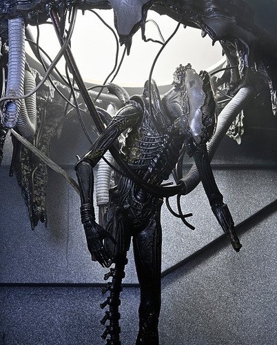 Neca alien romulus - neca, alien:
