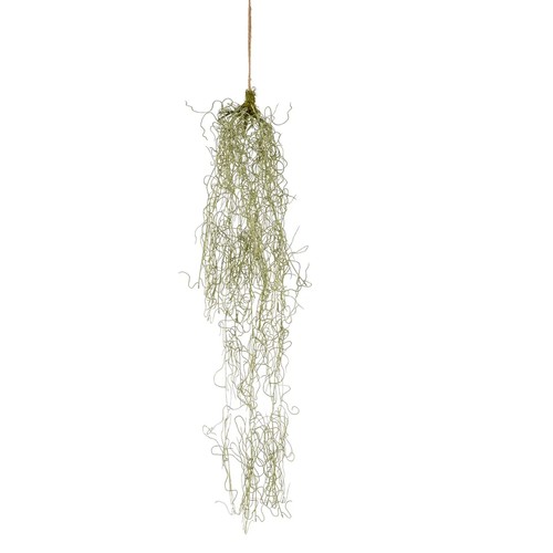 Künstliche tillandsia - künstliche,