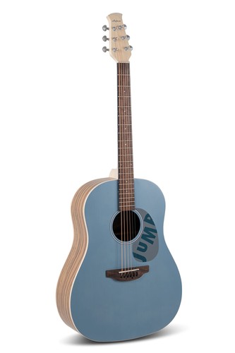 Applause acoustic guitar jump - guitar,