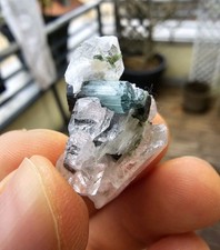 Turmalin Blue Cap Blau Indigolith Auf Quarz Stufe Skardu Pakistan 8 Gramm