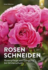 Rosen schneiden Rosenpflege