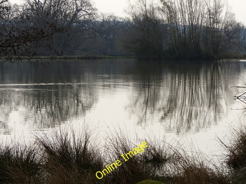Foto 6x4 petworth - 6x4,