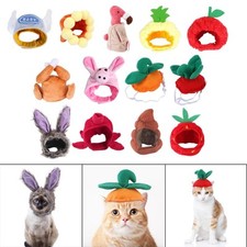 Hund Katze Hut Kopfbedeckung