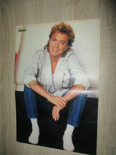 Poster bravo din david - din,