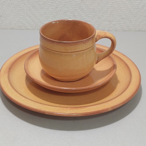 Friesland melitta ceracron - /,