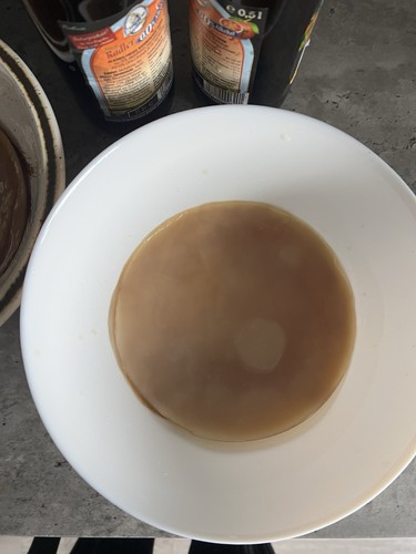 Frischer kombucha scoby - kombucha,
