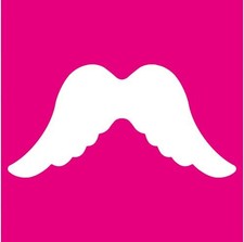 Efco Stanzer XXL Engelsflügel