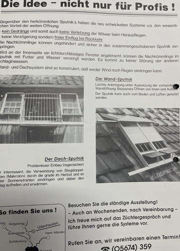 Auflösung brieftaubensport - auflösung, brieftaubensport-