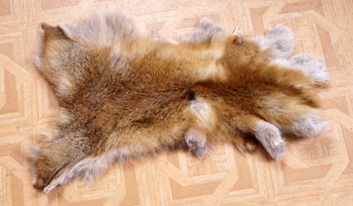 Schönes fuchsfell fox - schönes, fur