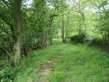 Foto 6x4 Steinfahnen entlang