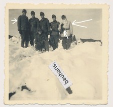 Foto Russland Soldaten Wehrmacht, Orden,Tarn,camo  2.WK (3310a)