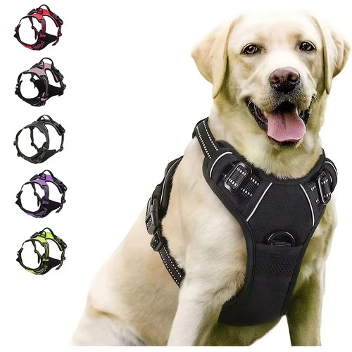 Hunde geschirr halsband set - geschirr,