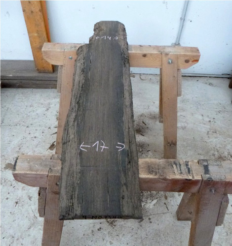 Mooreiche moorholz - mooreiche,