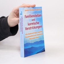 Familienstellen und karmische