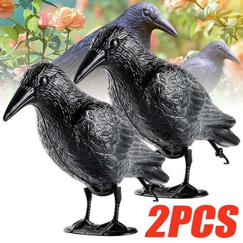 Vogelschreck rabe - vogelschreck,