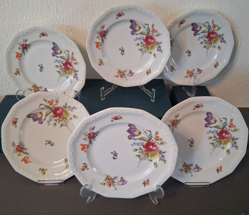 Rosenthal maria bunte - bunte, blumen