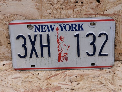 Nummernschild usa new york - usa,