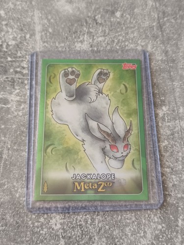 2022 topps metazoo wilderness - 2022,