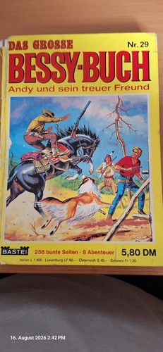 Comic das grosse bessy buch - das,