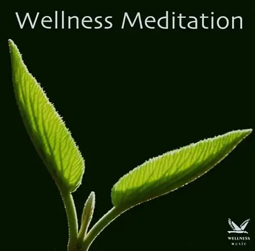 Various wellness meditation - various,