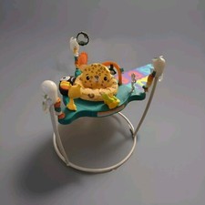 Fisher price rainforest