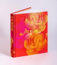 Die Rose 