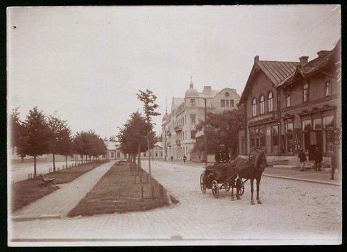 Fotografie carstens - fotografie,