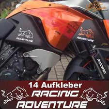 2 Stiere 6 ADVENTURE 6 Racing