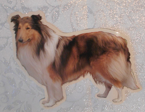Aufkleber autoaufkleber hund - aufkleber,