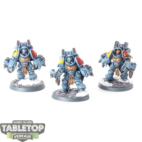 Space wolves 3 aggressor - wolves,