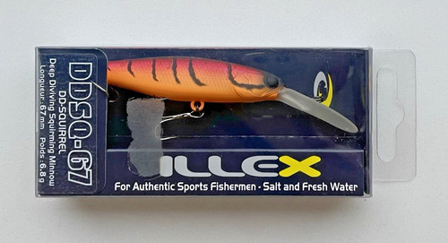 Illex squirrel red - sp, –