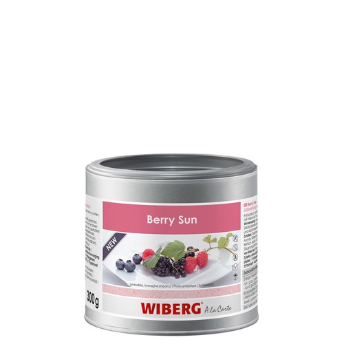 Berry sun wiberg 43 50 - sun,