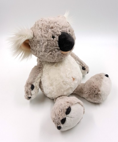 Nici koala joey - joey, wild