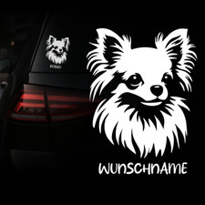 Chihuahua auto aufkleber - chihuahua,
