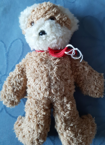Bär teddy teddybär aus - bär,