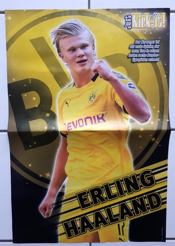 Just kick poster - it, erling