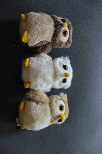 Harry potter eule im set - harry,