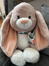 Nici Winter Hase Fjella ca