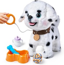 Hund spielzeug - tu,