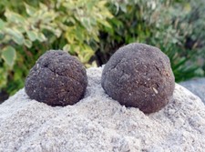 10kg Lockfutter Rapido Secret