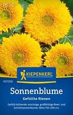 Kiepenkerl Sonnenblumensamen gefüllte Riesen, für ca 30 Pflanzen - wüchsig