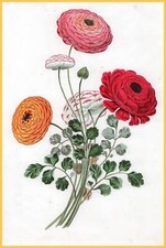 Blumenbouquet - Bukett ein sehr dekoratives Aquarell 