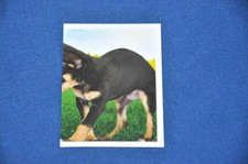 REWE Unsere WUNDERWELT Nr. 82